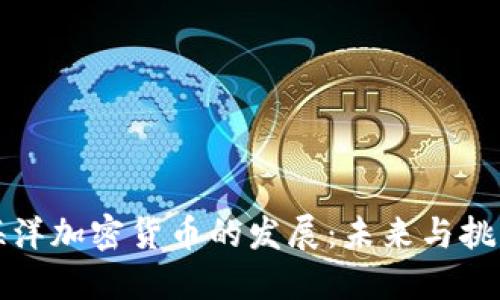 海洋加密货币的发展:未来与挑战