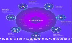 TP钱包是什么？揭示这款数字钱包的背后国家与特