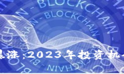 新加密货币暴涨：2023年投资机会与风险分析