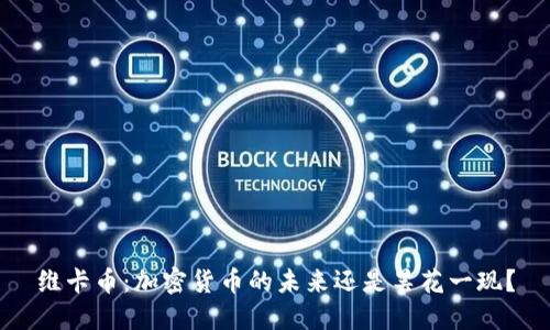 维卡币：加密货币的未来还是昙花一现？